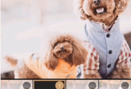 绿洲怎么发布动态?绿洲发布动态教程