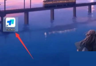 ToDesk怎么设置简体中文？ToDesk设置简体中文教程