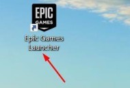 epic排除故障怎么开启?epic排除故障开启教程