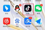 抖音怎么查询抖音月付额度？抖音查询抖音月付额度的步骤