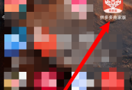 拼多多商家版怎么查看最近登录记录？拼多多商家版查看最近登录记录教程