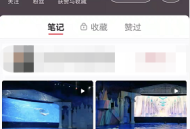 小红书怎么添加陌生人?小红书添加陌生人方法