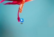 钉钉怎么开启钉钉搭?钉钉开启钉钉搭方法