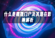 苹果cms模板什么是翱翔门户及其潜在影响解析苹果cms