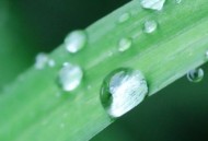 腾讯会议二维码在哪里?腾讯会议二维码查看方法